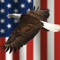 EagleFlag EagleFlag