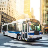 Bus6 Bus6