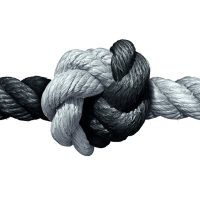 Knot Knot