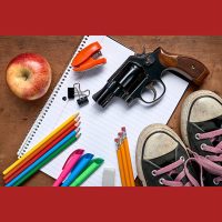 GunSchool GunSchool