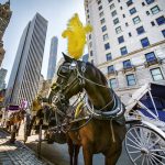 HorseCarriage